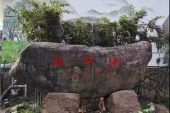 数字赋能船村，打造高水平数字乡村新样板